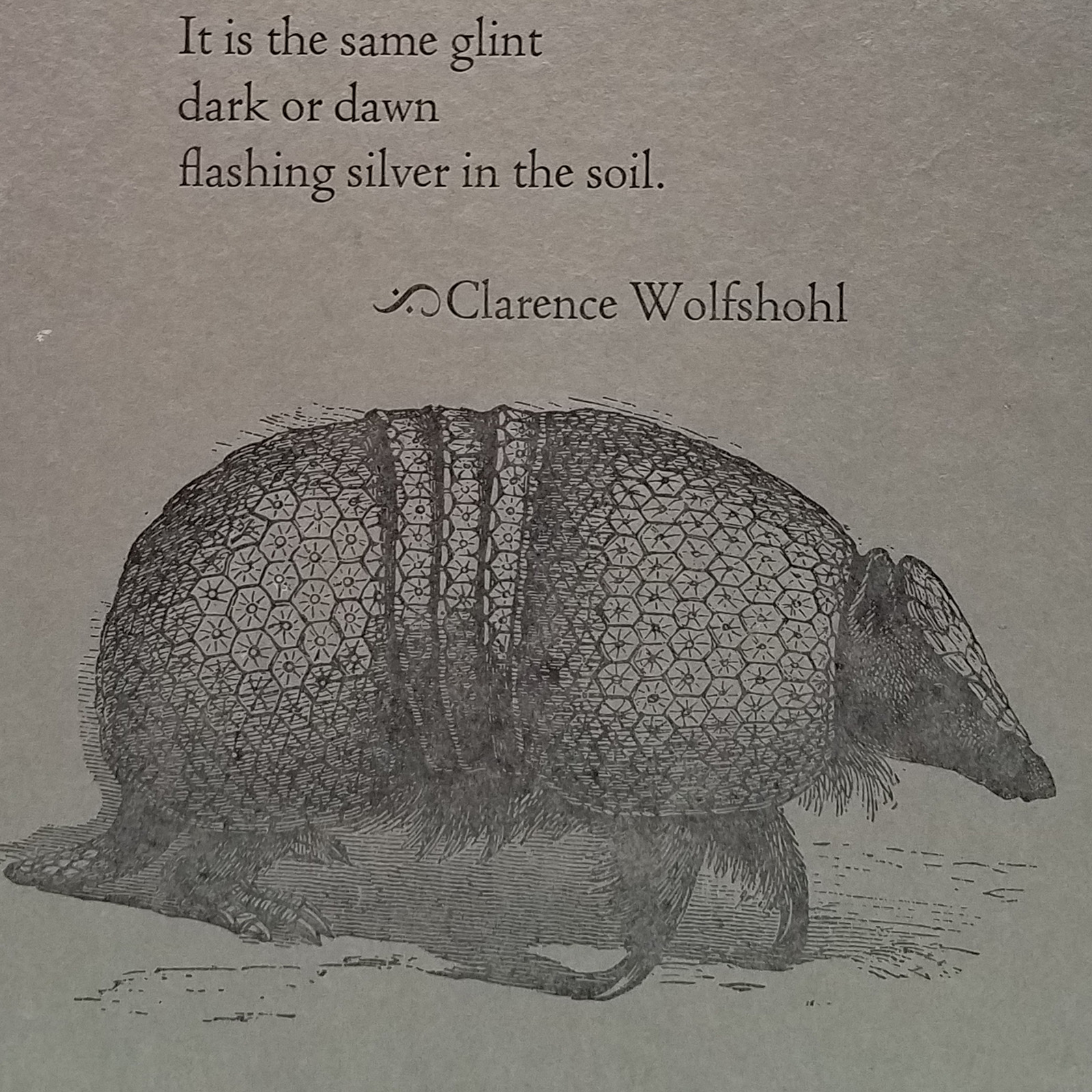 Broadside of Armadillo, by Clarence Wolfshohl