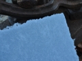 Cloudy Cotton